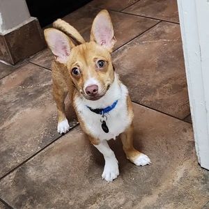 Meet your Posher, Mark